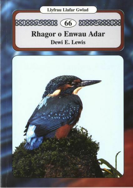 Llyfrau Llafar Gwlad: 66. Rhagor o Enwau Adar