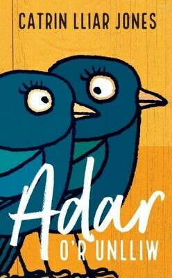 Adar o'r Unlliw - Catrin Lliar Jones Adar o'r Unlliw - Catrin Lliar Jones