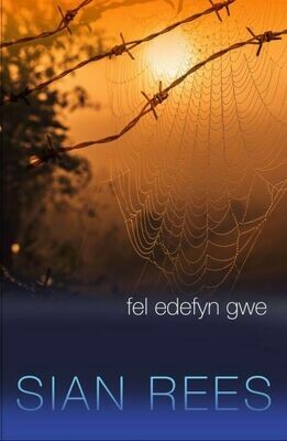 Fel Edefyn Gwe - Sian Rees