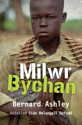 Milwr Bychan Milwr Bychan