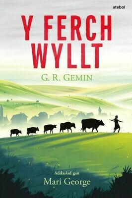 Ferch Wyllt, Y Ferch Wyllt, Y