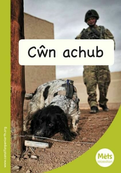 Mêts Maesllan: Cŵn Achub