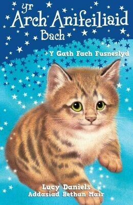 Cyfres yr Arch Anifeiliaid Bach: Y Gath Fach Fusneslyd