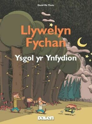 Llywelyn Fychan: Ysgol yr Ynfydion