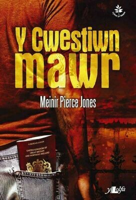 Cyfres yr Onnen: Y Cwestiwn Mawr Cyfres yr Onnen: Y Cwestiwn Mawr