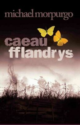 Caeau Fflandrys Caeau Fflandrys
