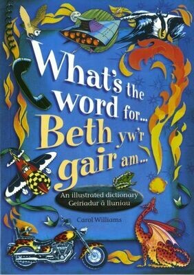 What's the Word For...?/Beth Yw'r Gair Am...? - An Illustrated