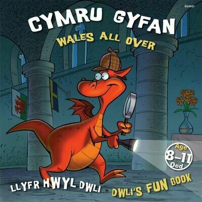 Llyfr Hwyl Dwli/ Dwli's Fun Book: Cymru Gyfan/ Wales All Over