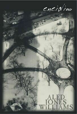 Eneidiau - Aled Jones Williams