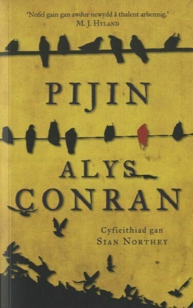 Pijin - Alys Conran