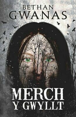 Merch y Gwyllt - Bethan Gwanas