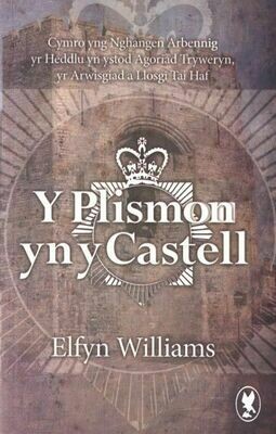 Plismon yn y Castell, Y