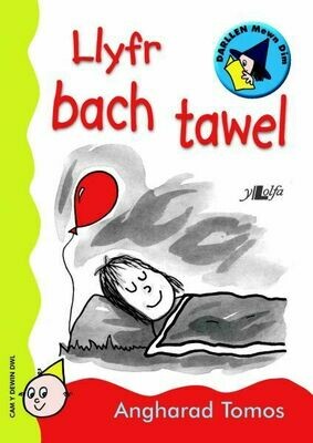 Cyfres Darllen Mewn Dim: Llyfr Bach Tawel