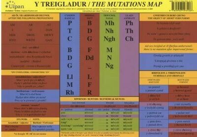 Y Treigladur/Mutations Map, The Y Treigladur/Mutations Map, The
