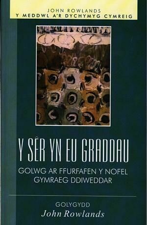 Meddwl a'r Dychymyg Cymreig, Y: Sêr yn eu Graddau, Y - Golwg Ar