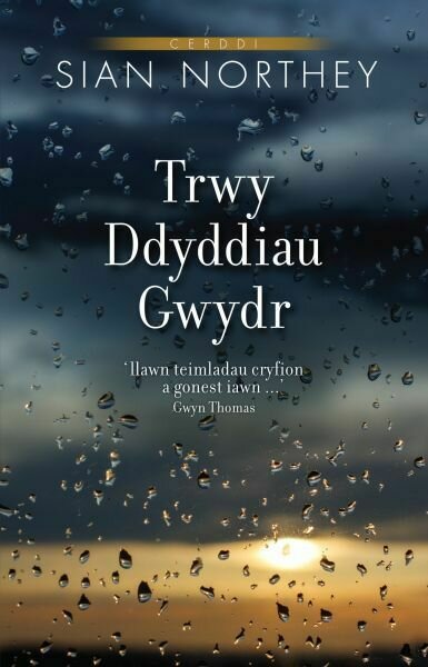 Trwy Ddyddiau Gwydr - Siân Northey
