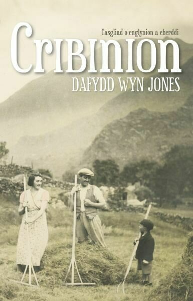 Cribinion - Dafydd Wyn Jones