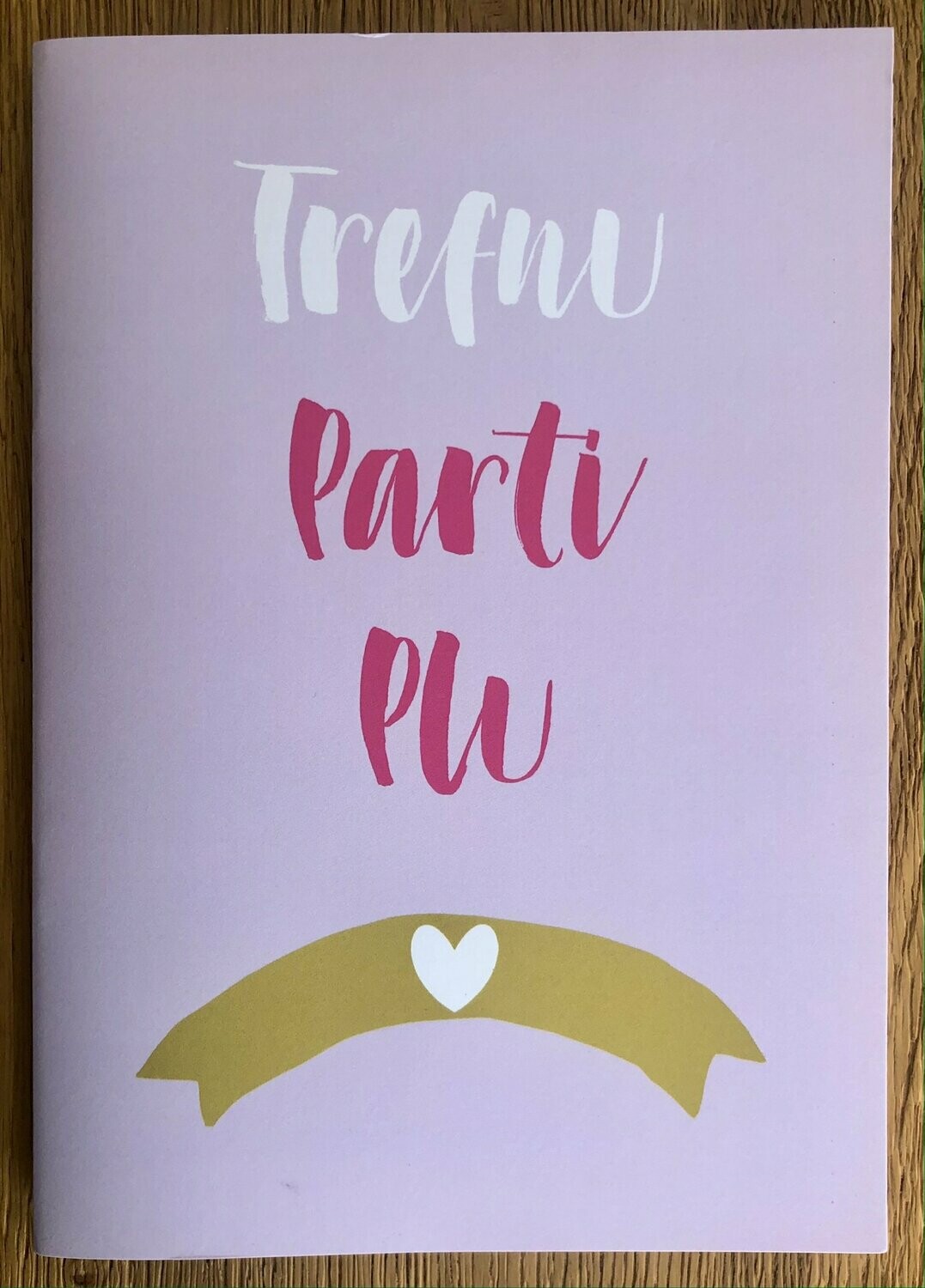Llyfr Nodiadau Trefnu Parti Plu