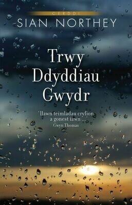 Trwy Ddyddiau Gwydr - Siân Northey