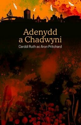 Adenydd a Chadwyni - Ruth ac Aron Pritchard