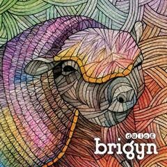 Brigyn - Dulog