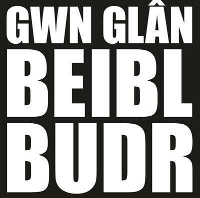 Lleuwen - Gwn Glân, Beibl Budr