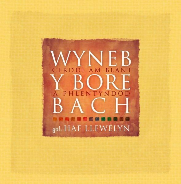 Wyneb y Bore Bach - Cerddi am Blant a Phlentyndod