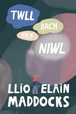 Twll Bach yn y Niwl - Llio Maddocks