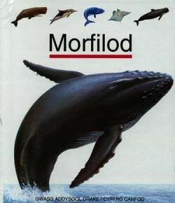 Cyfres Cyffro Canfos: Morfilod