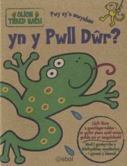 Olion Traed Bach:Pwy sy'n Mwynhau yn y Pwll Dwr?