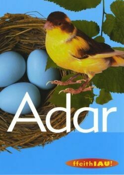 Adar: Ffeithiau!