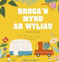 Broga'n mynd ar ei Wyliau