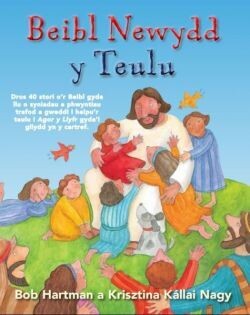 BEIBL NEWYDD Y TEULU