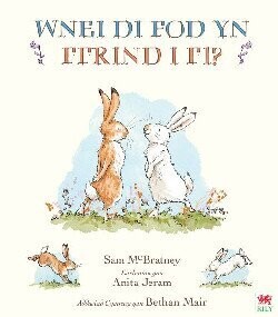 Wnei Di Fod yn Ffrind i Mi?