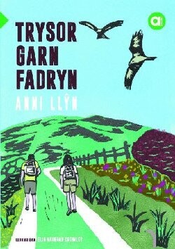 Cyfres Amdani (Lefel Sylfaen): Trysor Garn Fadryn - Anni Llŷn