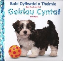 Babi Cyffwrdd a Theimlo: Geiriau Cyntaf / Baby Touch and Feel: Fi