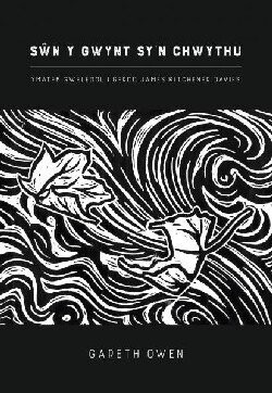 Swn y Gwynt sy'n Chwythu - Gareth Owen