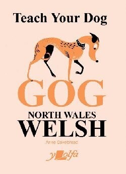 Teach your Dog Gog North Wales Welsh
