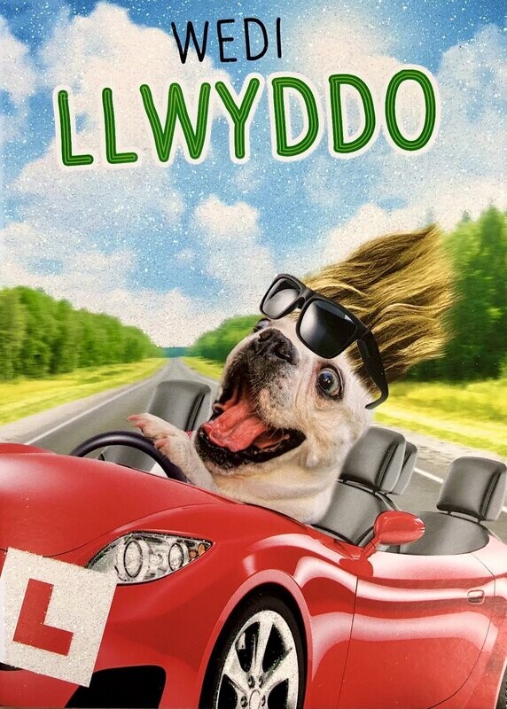 Cerdyn - Wedi Llwyddo