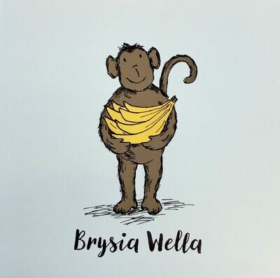 Cerdyn - Brysia Wella