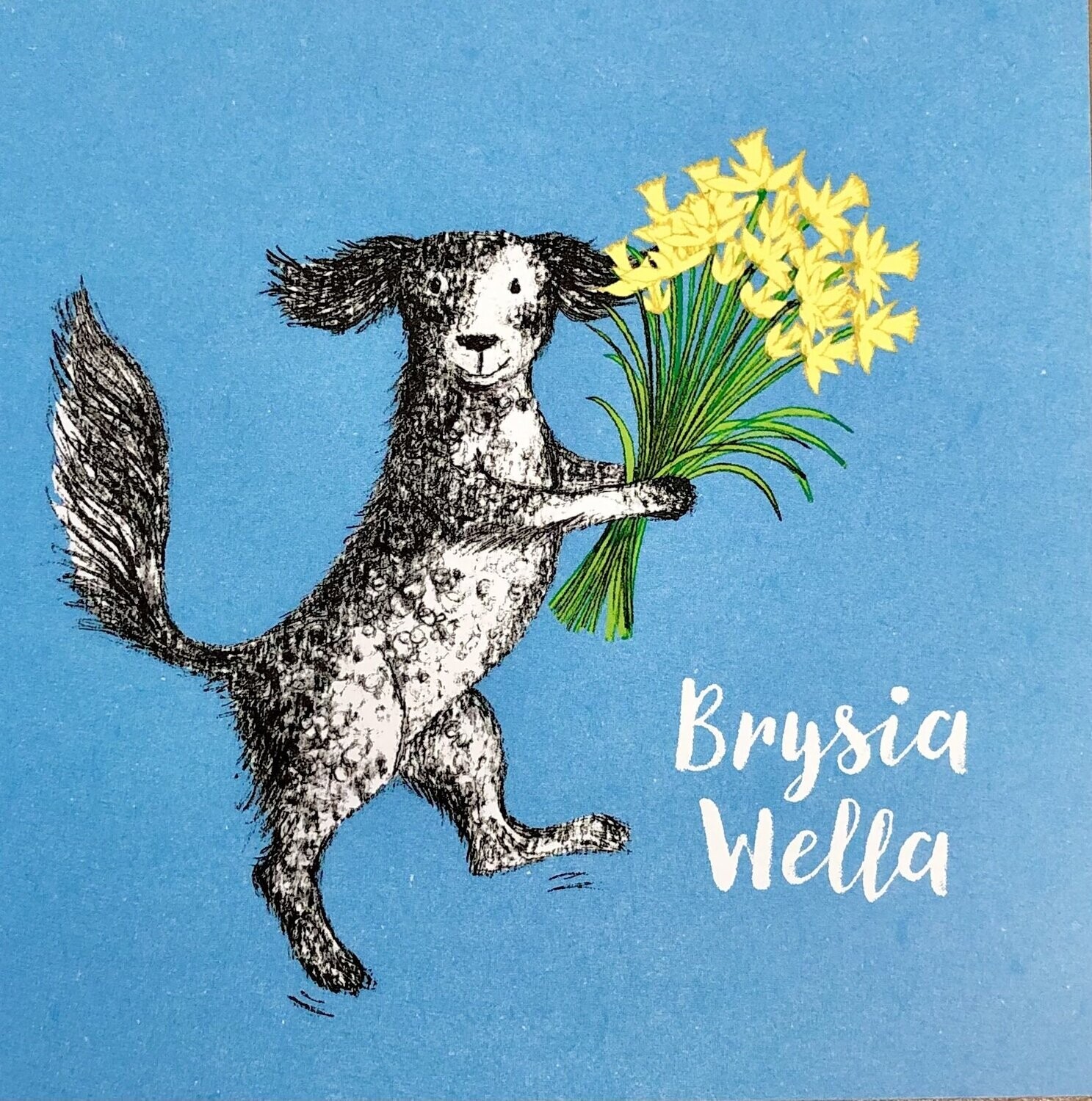 Cerdyn - Brysia Wella