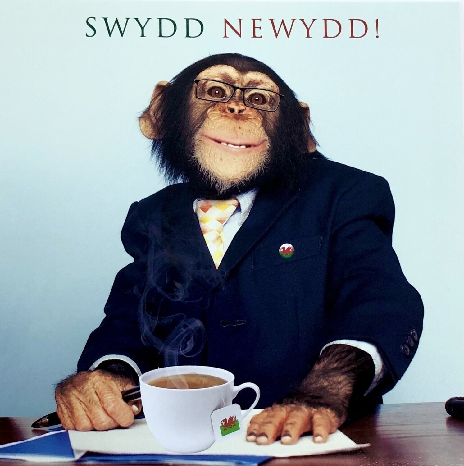 Cerdyn - Swydd Newydd!