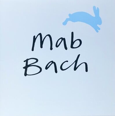 Cerdyn - Mab Bach