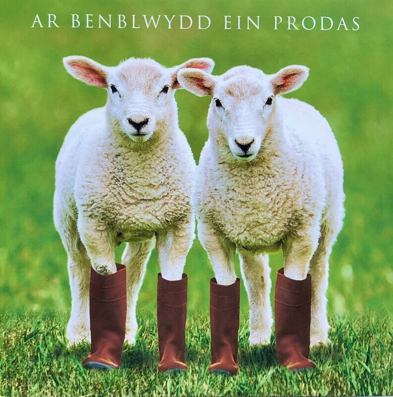 Cerdyn - Ar Benblwydd Ein Priodas