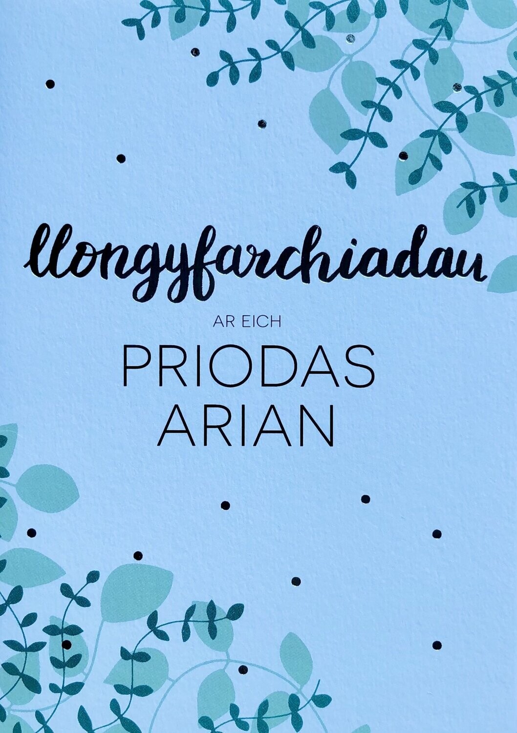 Cerdyn - Llongyfarchiadau Ar Eich Priodas Arian
