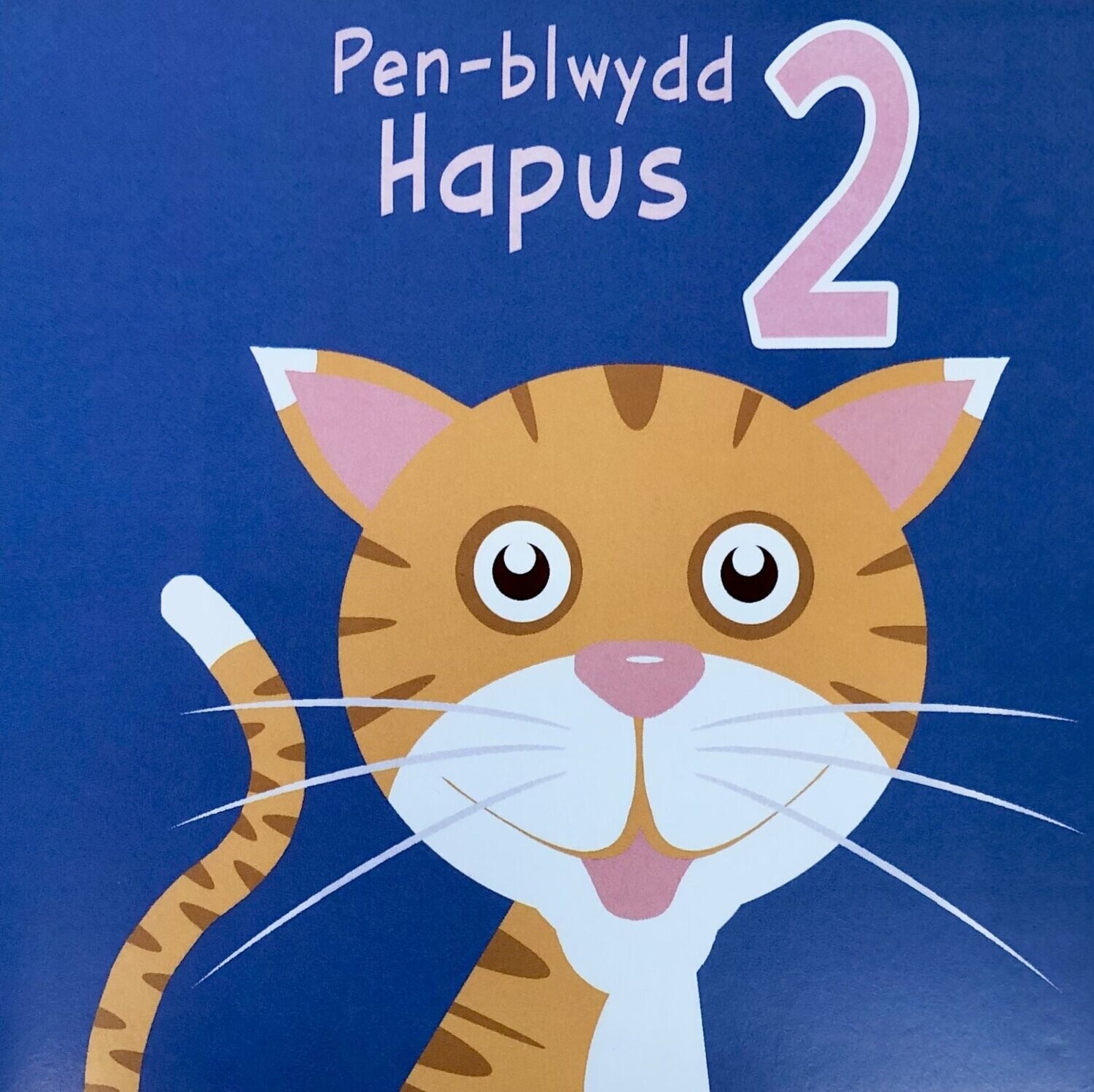 Cerdyn - Penblwydd Hapus 2
