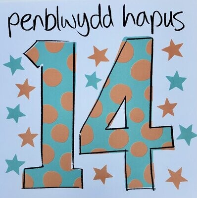 Cerdyn - Penblwydd Hapus 14