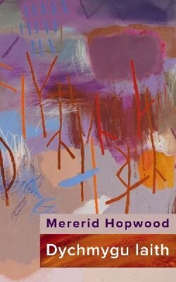 Dychmygu Iaith - Mererid Hopwood