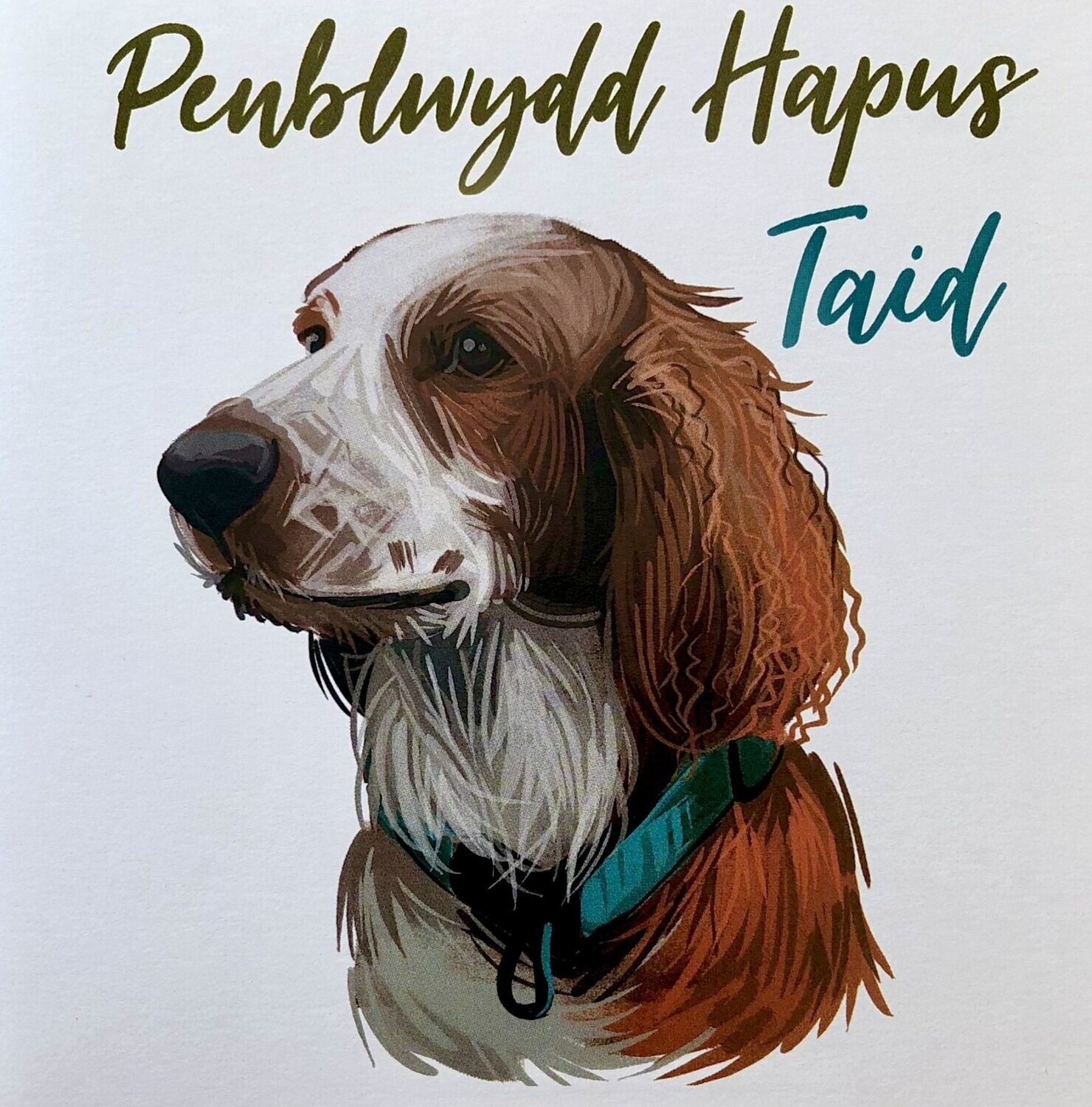 Cerdyn - Penblwydd Hapus Taid