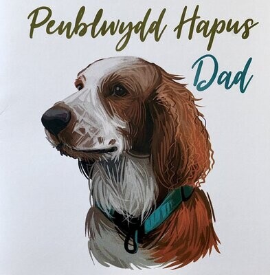 Cerdyn - Penblwydd Hapus Dad
